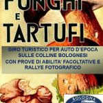 Funghi e Tartufi 2019