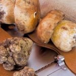 Funghi e Tartufi 2018