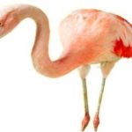 In barca nelle valli